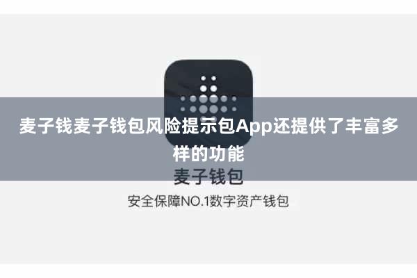麦子钱麦子钱包风险提示包App还提供了丰富多样的功能