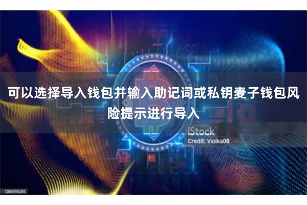 可以选择导入钱包并输入助记词或私钥麦子钱包风险提示进行导入