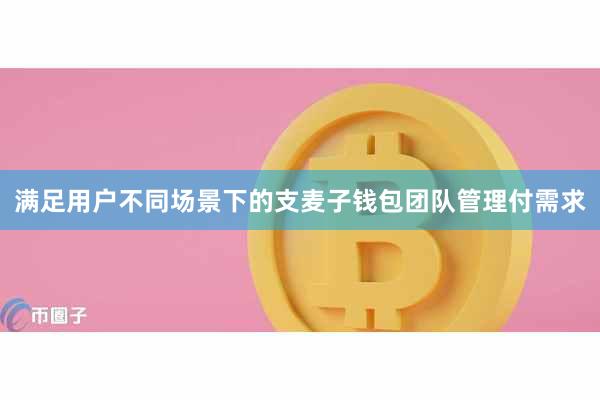 满足用户不同场景下的支麦子钱包团队管理付需求