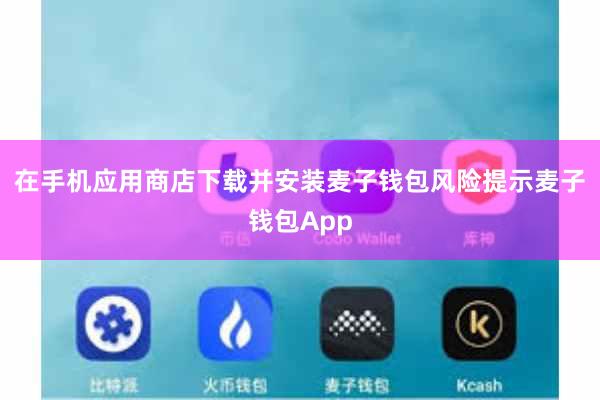 在手机应用商店下载并安装麦子钱包风险提示麦子钱包App