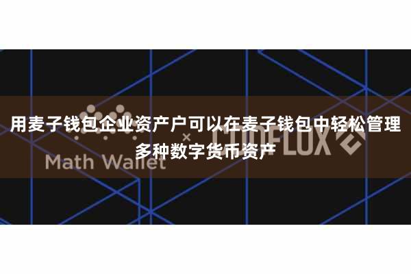 用麦子钱包企业资产户可以在麦子钱包中轻松管理多种数字货币资产