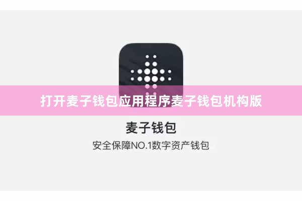 打开麦子钱包应用程序麦子钱包机构版