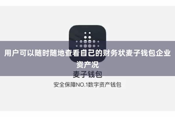 用户可以随时随地查看自己的财务状麦子钱包企业资产况