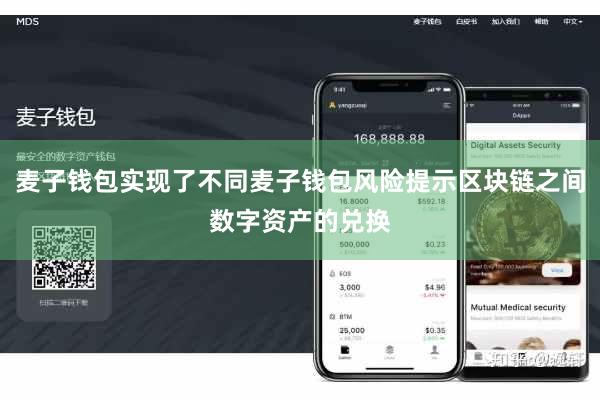 麦子钱包实现了不同麦子钱包风险提示区块链之间数字资产的兑换