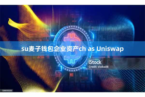 su麦子钱包企业资产ch as Uniswap