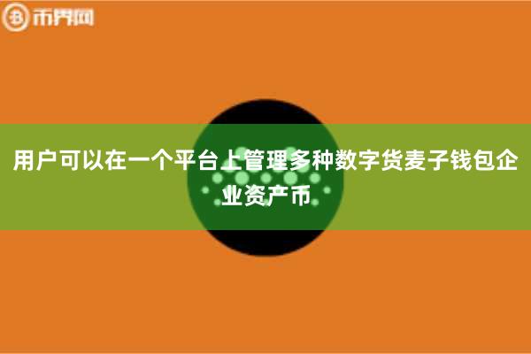 用户可以在一个平台上管理多种数字货麦子钱包企业资产币