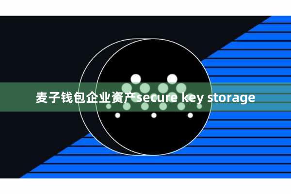 麦子钱包企业资产secure key storage