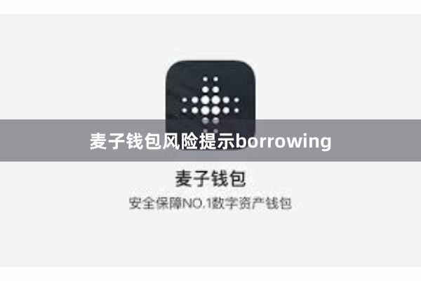 麦子钱包风险提示borrowing