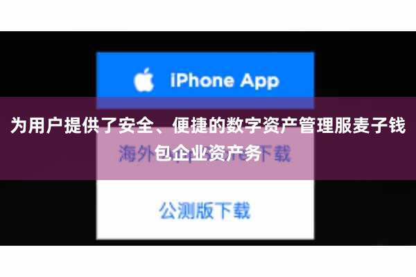 为用户提供了安全、便捷的数字资产管理服麦子钱包企业资产务