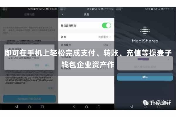 即可在手机上轻松完成支付、转账、充值等操麦子钱包企业资产作