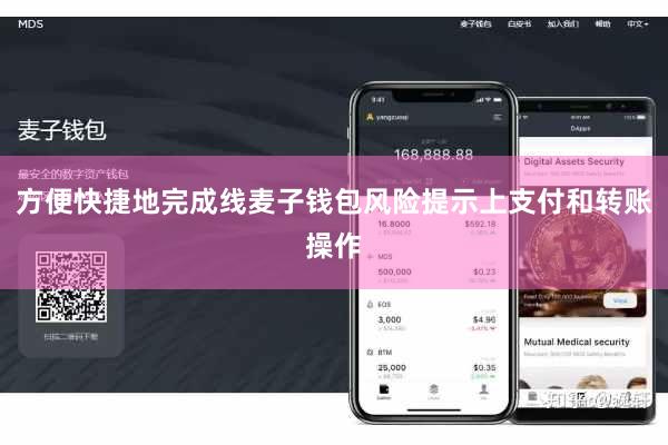 方便快捷地完成线麦子钱包风险提示上支付和转账操作