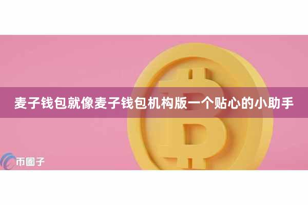 麦子钱包就像麦子钱包机构版一个贴心的小助手