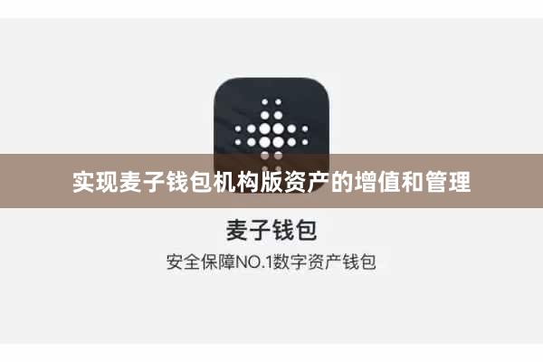 实现麦子钱包机构版资产的增值和管理