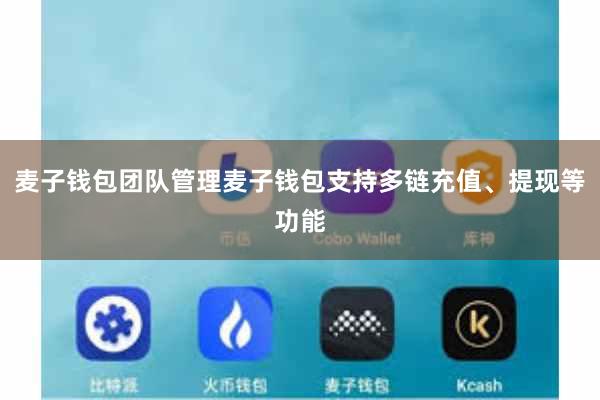麦子钱包团队管理麦子钱包支持多链充值、提现等功能