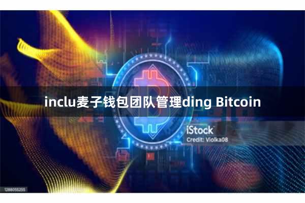 inclu麦子钱包团队管理ding Bitcoin