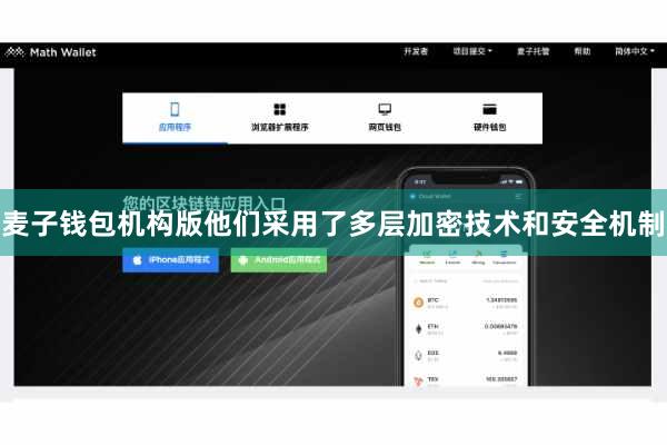 麦子钱包机构版他们采用了多层加密技术和安全机制