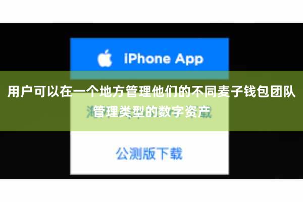 用户可以在一个地方管理他们的不同麦子钱包团队管理类型的数字资产