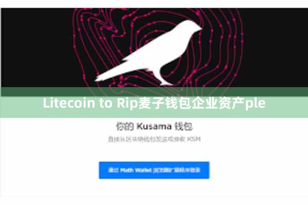 Litecoin to Rip麦子钱包企业资产ple