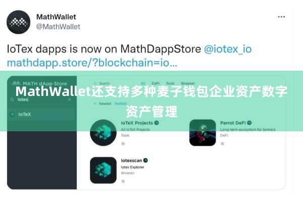 MathWallet还支持多种麦子钱包企业资产数字资产管理